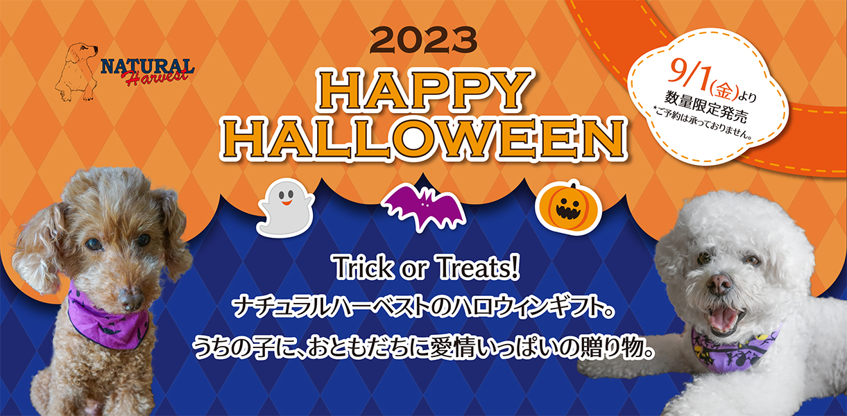 2023 Happy Halloween | 株式会社バンガードインターナショナルフーズ