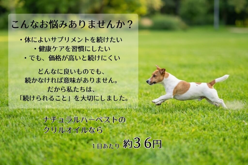 ７歳からのプレミアクリル