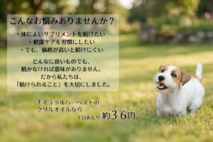 ７歳からのプレミアクリル