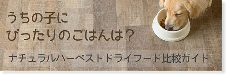 ドライフード比較ガイド
